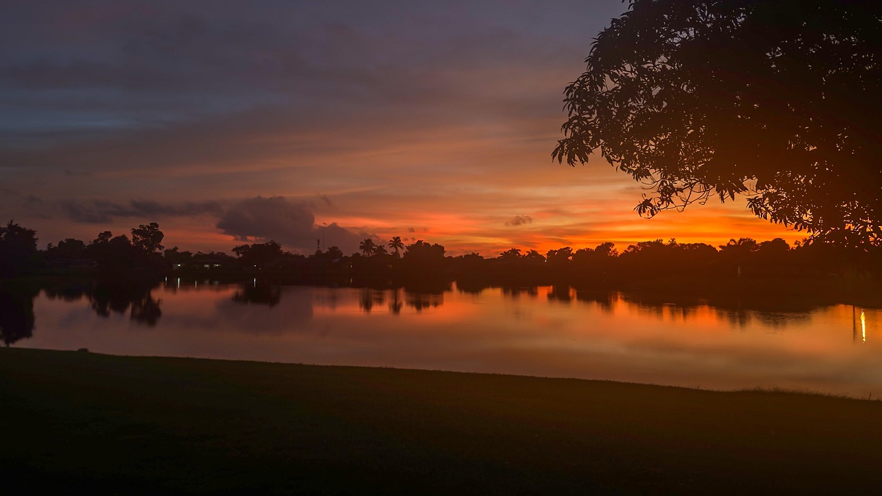 Sunrise over a misty lake surrounded by tall pine trees